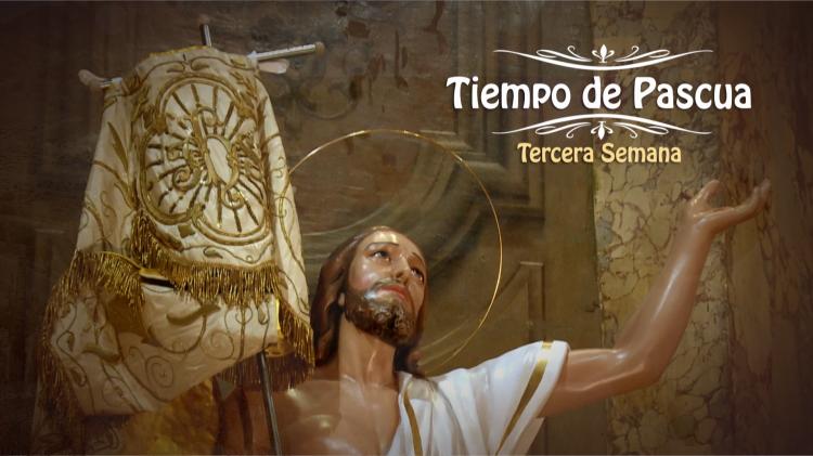 La misa del tercer domingo de Pascua por TV