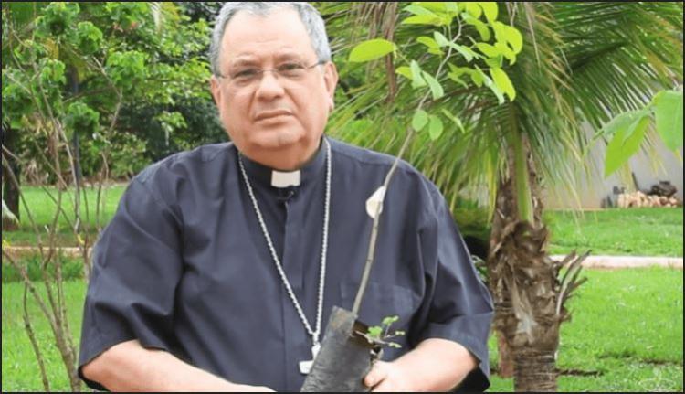 Brasil: la Iglesia invita a plantar un árbol en memoria de los fieles difuntos
