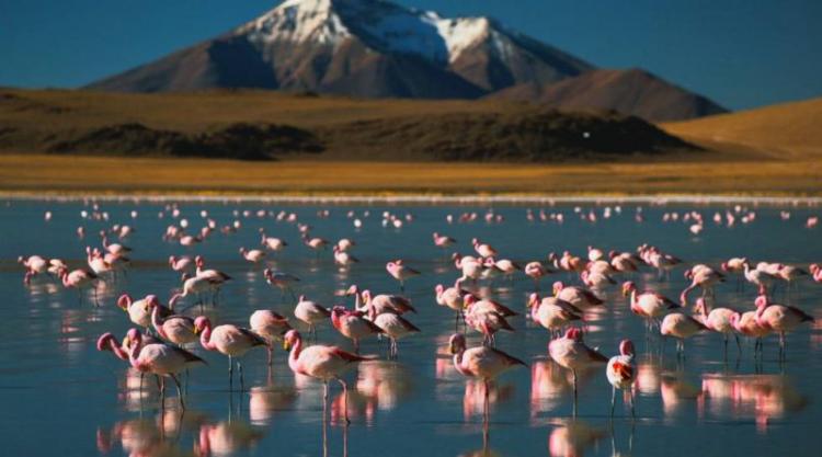 Caritas Chile impulsa trabajo sobre cambio climático en tres diócesis Caritas Chile impulsa trabajo sobre cambio climático en tres diócesis