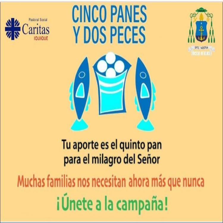 Chile: Campañas de ayuda alimentaria para familias sin trabajo a causa de la pandemia