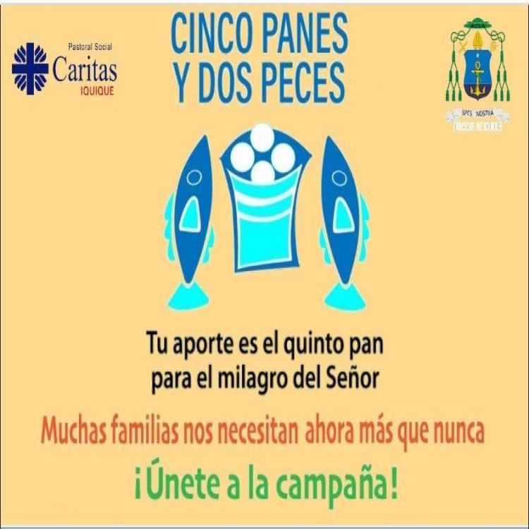 Chile: Campañas de ayuda alimentaria para familias sin trabajo a causa de la pandemia Chile: Campañas de ayuda alimentaria para familias sin trabajo a causa de la pandemia