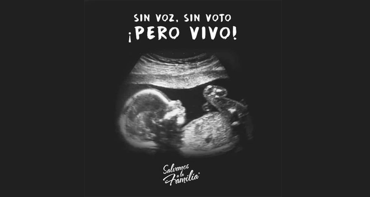 Defensa de la vida por nacer, también en versos Defensa de la vida por nacer, también en versos