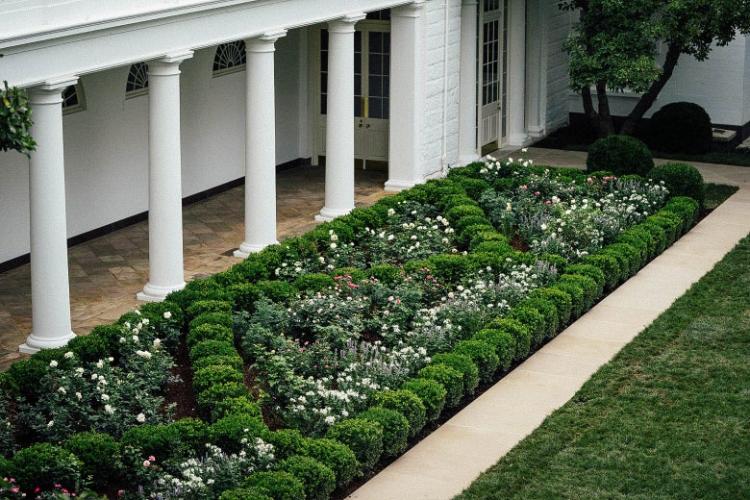 EE.UU: Una rosa en honor a san Juan Pablo II en el jardín de la Casa Blanca EE.UU: Una rosa en honor a san Juan Pablo II en el jardín de la Casa Blanca