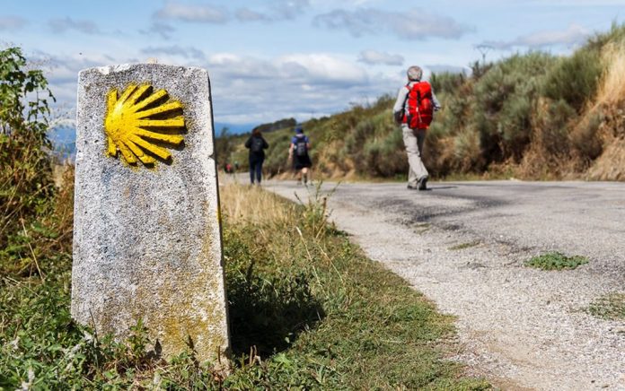 El "Camino de Santiago Challenge" invita a los jóvenes a peregrinar online El "Camino de Santiago Challenge" invita a los jóvenes a peregrinar online