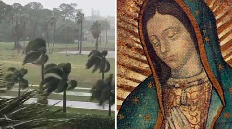 El Celam convoca a rezar este 12 de diciembre por las víctimas de los huracanes El Celam convoca a rezar este 12 de diciembre por las víctimas de los huracanes