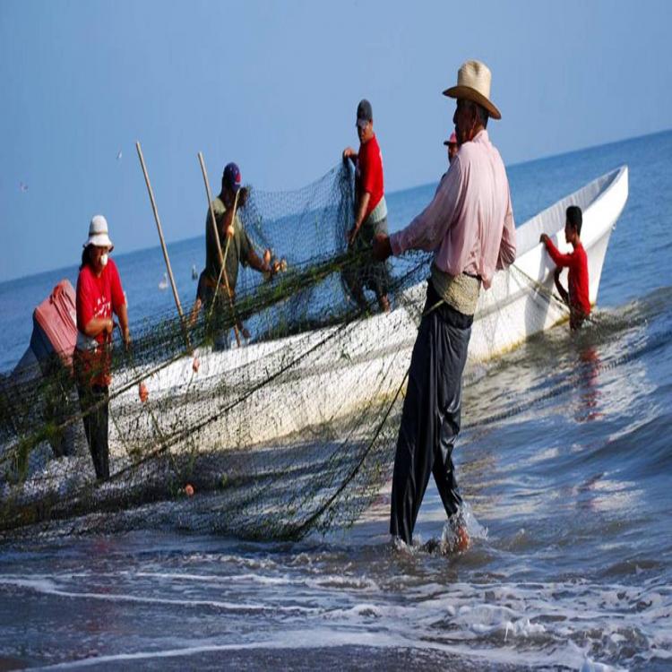 El Papa agradeció la labor de marineros y pescadores