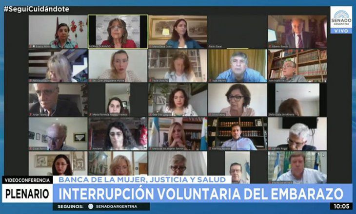 Expertos defienden las dos vidas en las exposiciones en el Senado Expertos defienden las dos vidas en las exposiciones en el Senado
