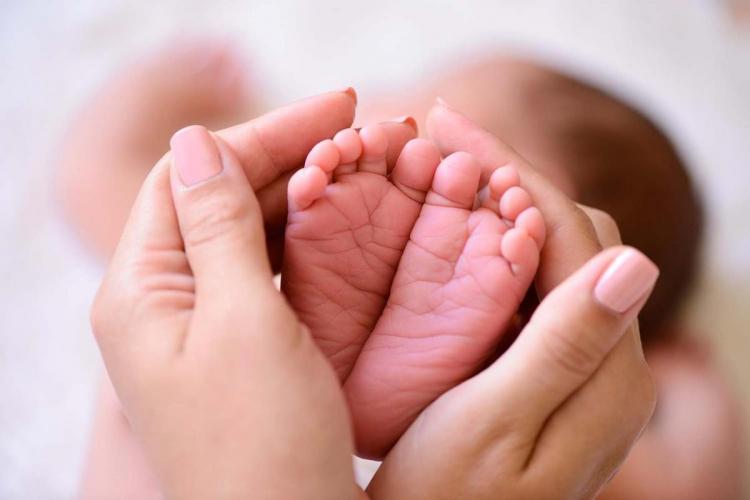 ¡Ganó la vida! La Corte Suprema mexicana rechazó despenalizar el aborto en Veracruz ¡Ganó la vida! La Corte Suprema mexicana rechazó despenalizar el aborto en Veracruz