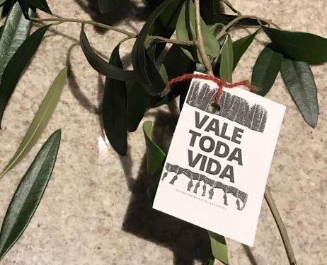 La Cevilaf adhiere al cuidado y dignidad de toda vida La Cevilaf adhiere al cuidado y dignidad de toda vida