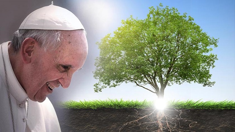 Los obispos españoles recuerdan que la "conversión ecológica" se ha vuelto apremiante Los obispos españoles recuerdan que la "conversión ecológica" se ha vuelto apremiante