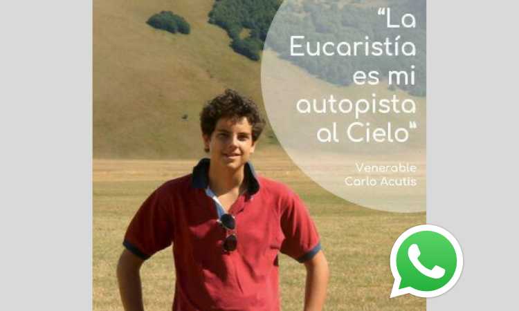 Más de 15.000 personas están rezando en simultáneo una novena a Carlo Acutis Más de 15.000 personas están rezando en simultáneo una novena a Carlo Acutis