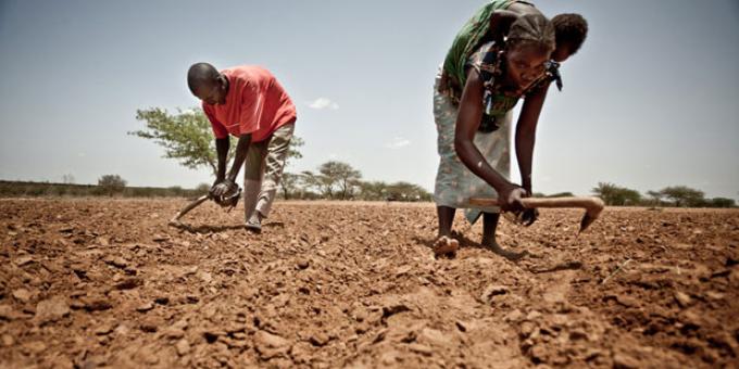 Más de dos millones de personas corren el riesgo de morir de hambre en los próximos meses Más de dos millones de personas corren el riesgo de morir de hambre en los próximos meses