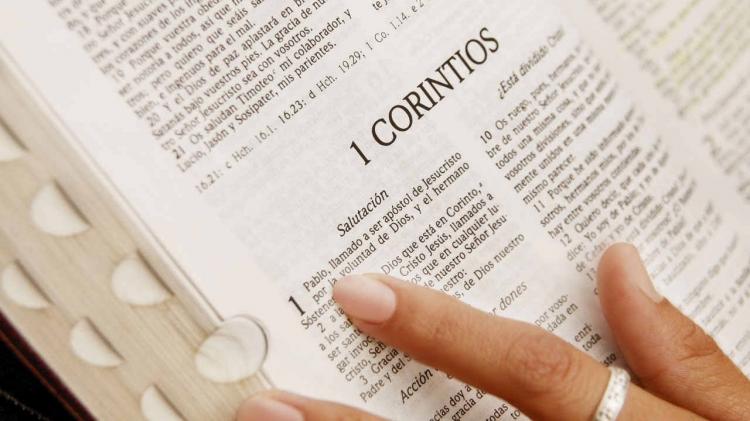Mons. Castagna: "Fuerza y sabiduría de Dios" Mons. Castagna: "Fuerza y sabiduría de Dios"