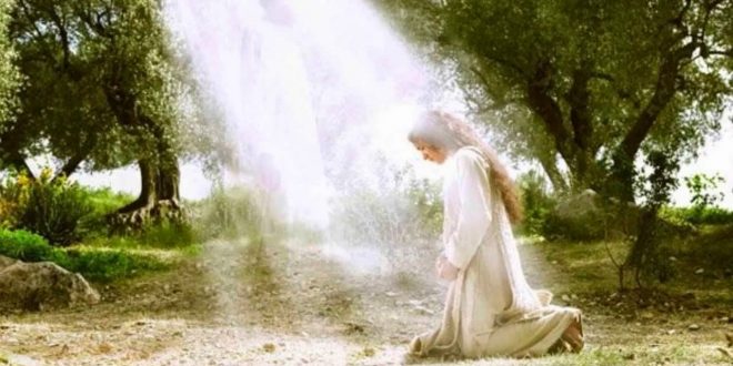 Mons. Castagna: María, Dios la elige porque es humilde Mons. Castagna: María, Dios la elige porque es humilde