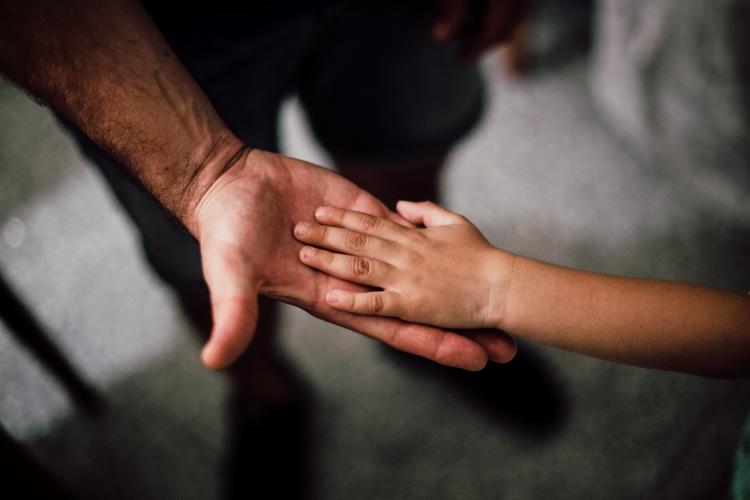 Mons. Mestre: "Sostenidos por la mano del Señor" Mons. Mestre: "Sostenidos por la mano del Señor"