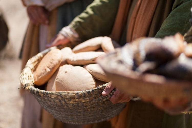 Mons. Scheinig animó a actuar con "la lógica del Reino"