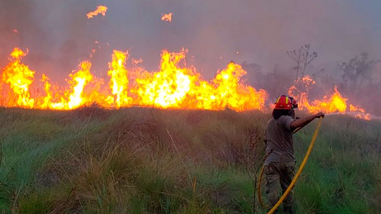 Preocupa a los obispos paraguayos la propagación de los incendios