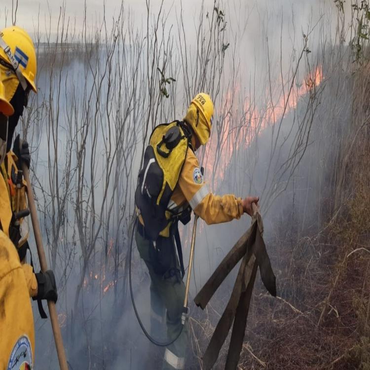 Reflexiones de la Acción Católica rosarina ante los incendios en las islas