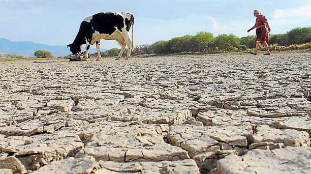 Cáritas alerta sobre los efectos de la sequía en África y Centroamérica Cáritas alerta sobre los efectos de la sequía en África y Centroamérica