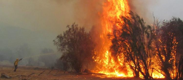 Cáritas pide ayuda para los hermanos afectados por los incendios en el sur Cáritas pide ayuda para los hermanos afectados por los incendios en el sur