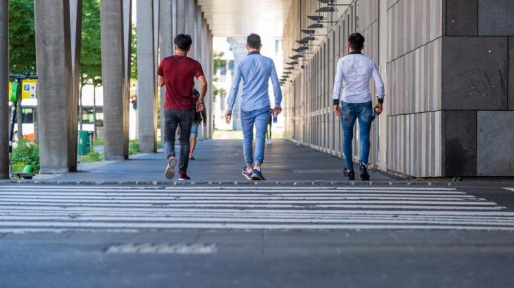 Cemais: "La educación, factor clave en la proyección de los jóvenes" Cemais: "La educación, factor clave en la proyección de los jóvenes"