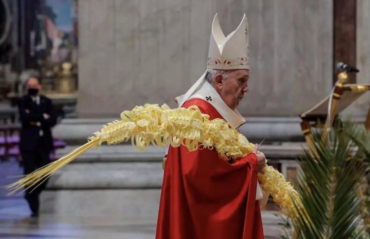 Domingo de Ramos: Mirar la cruz y pedir "la gracia del estupor", animó el Papa Domingo de Ramos: Mirar la cruz y pedir "la gracia del estupor", animó el Papa