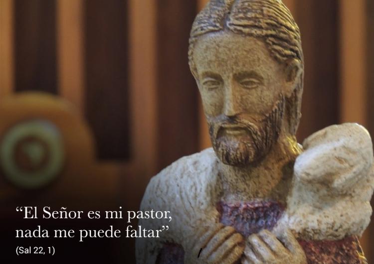 El Card. Poli ordenará a 4 sacerdotes y a 4 diáconos El Card. Poli ordenará a 4 sacerdotes y a 4 diáconos