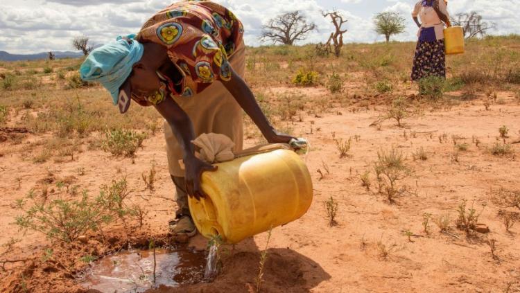 Financiación y cooperación pide Cáritas para luchar contra el cambio climático Financiación y cooperación pide Cáritas para luchar contra el cambio climático