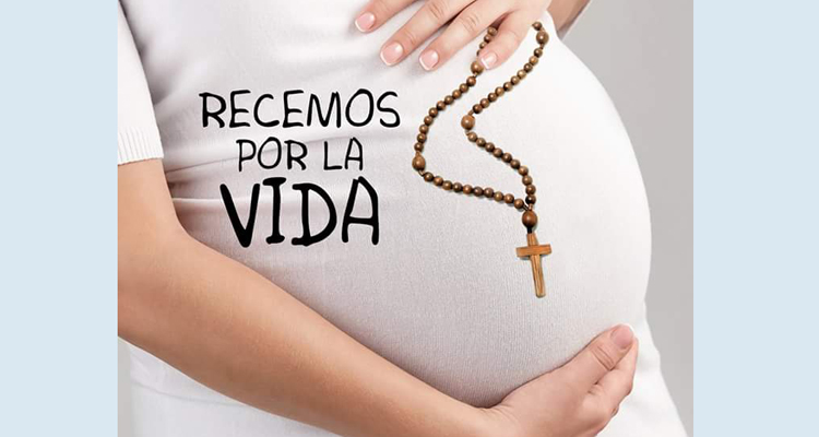 La misa y rosario por la vida del 25 de marzo será virtual en la catedral de Buenos Aires La misa y rosario por la vida del 25 de marzo será virtual en la catedral de Buenos Aires