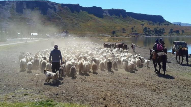 La Pastoral Rural neuquina pide titularización de tierras de familias crianceras La Pastoral Rural neuquina pide titularización de tierras de familias crianceras