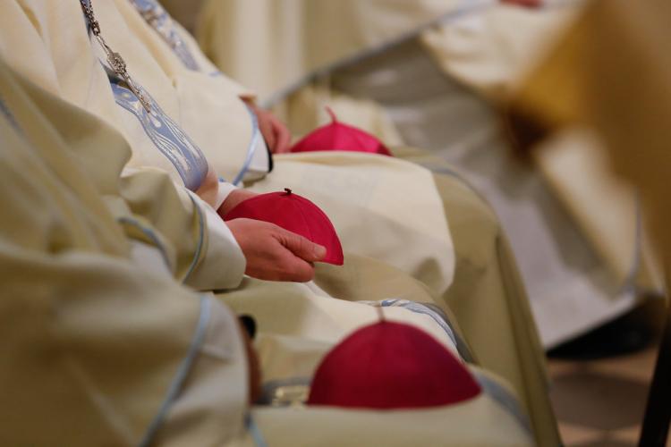 La Santa Sede pospuso la visita ad limina de los obispos de Austria hasta 2022 La Santa Sede pospuso la visita ad limina de los obispos de Austria hasta 2022