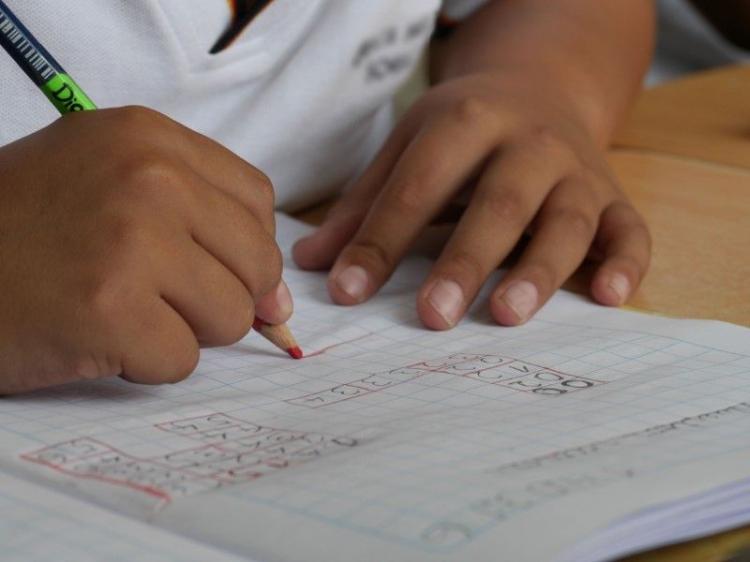 Los obispos aclaran principios de la educación a tener en cuenta en una nueva Constitución Los obispos aclaran principios de la educación a tener en cuenta en una nueva Constitución