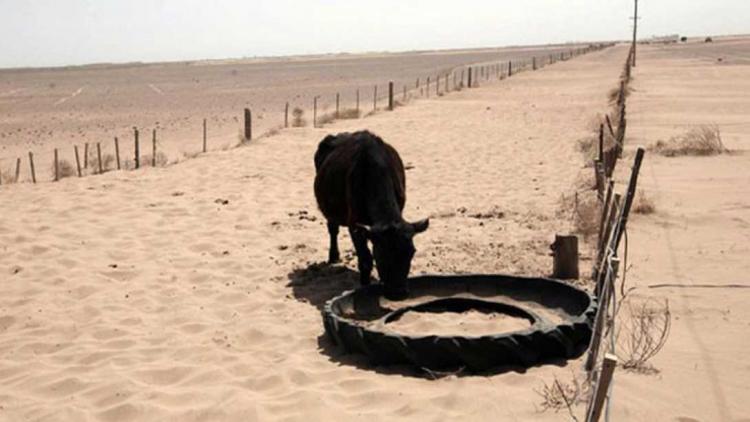 Sacerdotes y diáconos de Bahía Blanca advierten sobre las otras "sequías" Sacerdotes y diáconos de Bahía Blanca advierten sobre las otras "sequías"