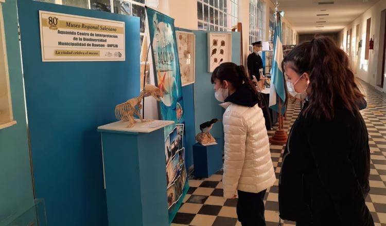 Museo Regional Salesiano: Cumplió 80 años y fue declarado patrimonio histórico Museo Regional Salesiano: Cumplió 80 años y fue declarado patrimonio histórico