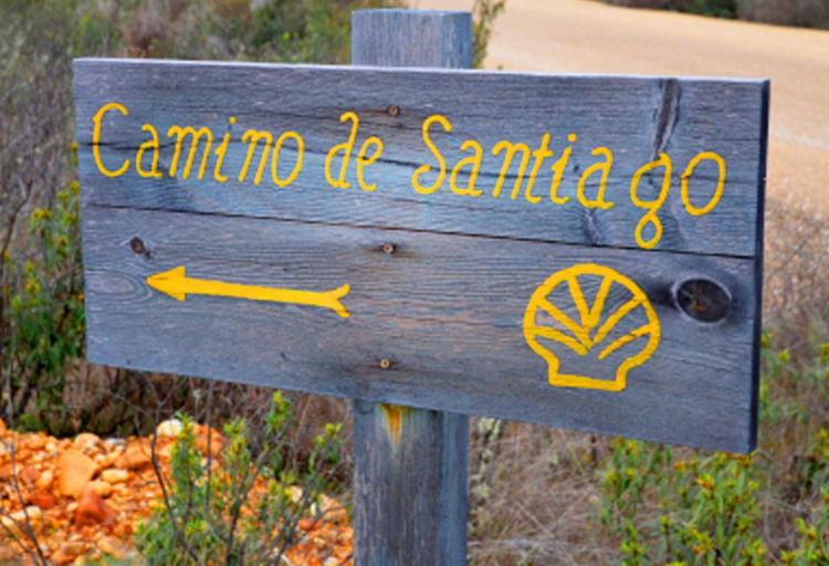 Organizan por segundo año la 'Ruta Jacobea online' al Camino de Santiago Organizan por segundo año la 'Ruta Jacobea online' al Camino de Santiago