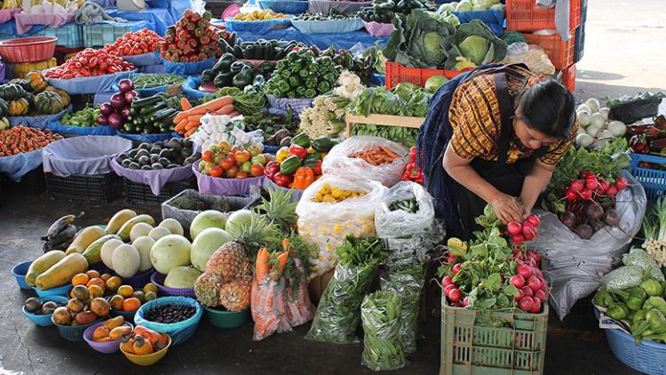 Productores de la agricultura familiar hacen llegar propuestas para el desarrollo del sector