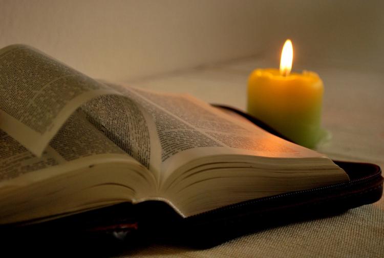 Taller de Salmos, la oración privilegiada de los cristianos Taller de Salmos, la oración privilegiada de los cristianos