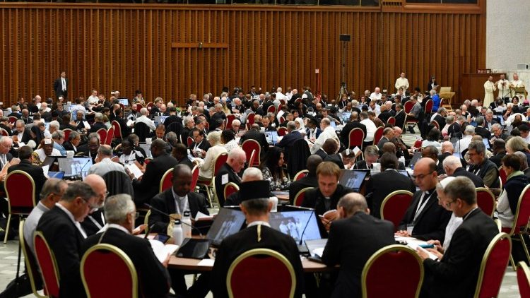 Asamblea Sinodal: conforman las Comisiones del Informe de Síntesis y la de Información Asamblea Sinodal: conforman las Comisiones del Informe de Síntesis y la de Información