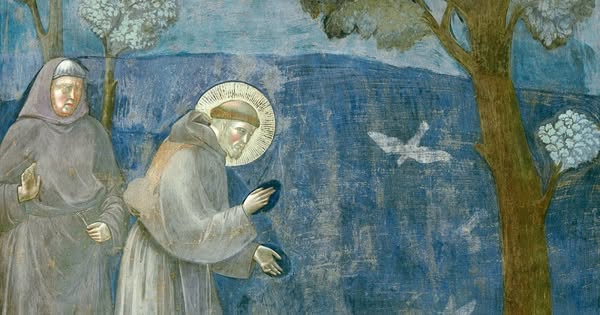 Asís: el 'Patio de Francisco' celebrará los 800 años del Cántico de las Criaturas Asís: el 'Patio de Francisco' celebrará los 800 años del Cántico de las Criaturas