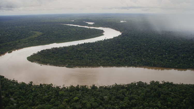 Brasil: los obispos denuncian un proyecto de ley que traerá un 'retroceso ambiental'