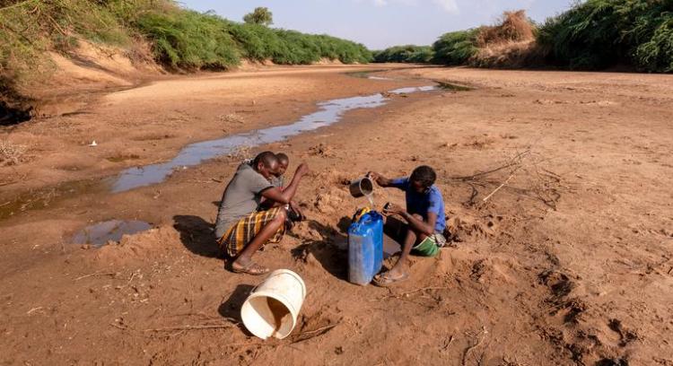 Cáritas alertó sobre la alarmante inseguridad alimentaria en el Cuerno de África Cáritas alertó sobre la alarmante inseguridad alimentaria en el Cuerno de África
