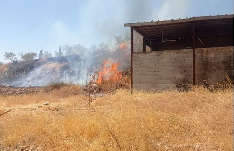 Cisjordania: Nuevo ataque a una aldea cristiana de Taybeh Cisjordania: Nuevo ataque a una aldea cristiana de Taybeh