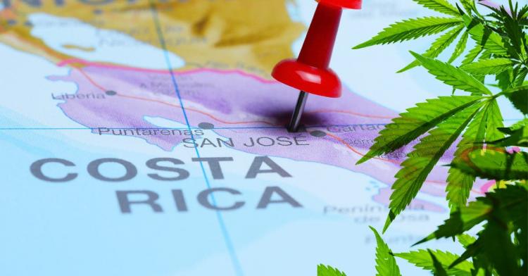 Costa Rica: Los obispos cuestionan la legalización del cultivo de cannabis Costa Rica: Los obispos cuestionan la legalización del cultivo de cannabis