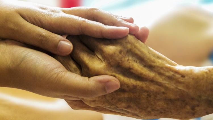 El área de Adultos Mayores presentó propuestas para la II Jornada Mundial de Abuelos El área de Adultos Mayores presentó propuestas para la II Jornada Mundial de Abuelos