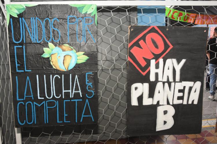 El arte al servicio del cuidado de la casa común, en un colegio de Mataderos El arte al servicio del cuidado de la casa común, en un colegio de Mataderos