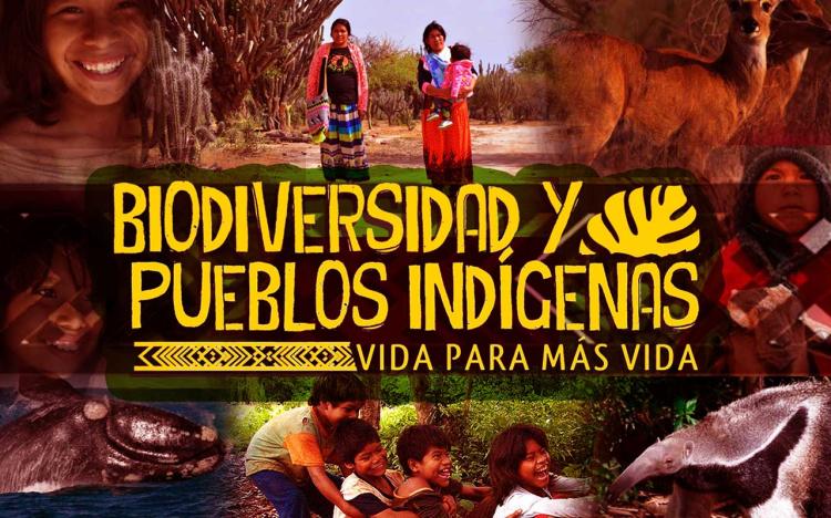 El episcopado saluda a las comunidades en la Semana de los Pueblos Originarios El episcopado saluda a las comunidades en la Semana de los Pueblos Originarios