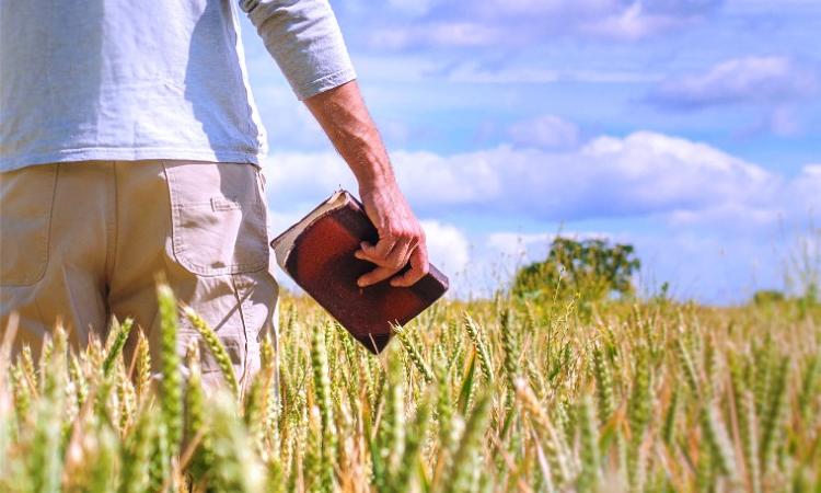 El Movimiento Rural de Reconquista celebra 67 años de misión con un gran reencuentro El Movimiento Rural de Reconquista celebra 67 años de misión con un gran reencuentro