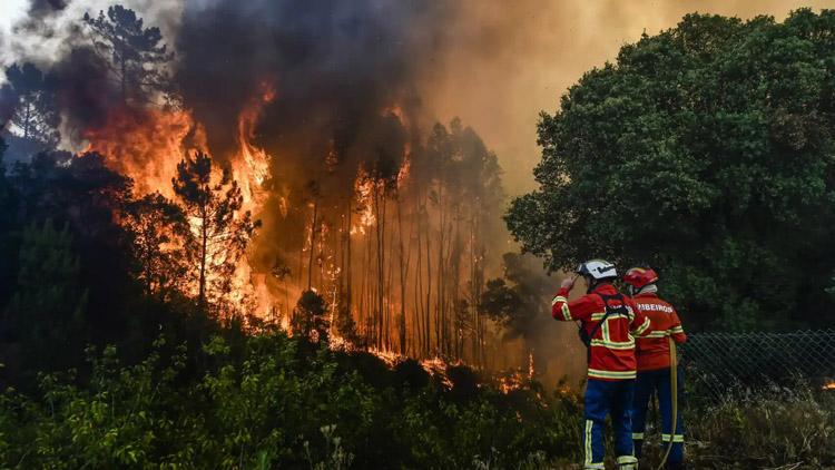 España: La Iglesia da cobijo a los afectados por el fuego España: La Iglesia da cobijo a los afectados por el fuego
