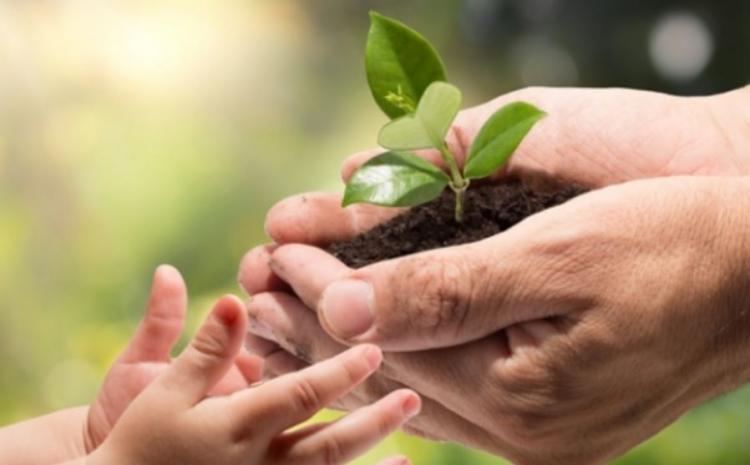 España: proponen incluir la 'conciencia ecológica' en la catequesis de los niños España: proponen incluir la 'conciencia ecológica' en la catequesis de los niños