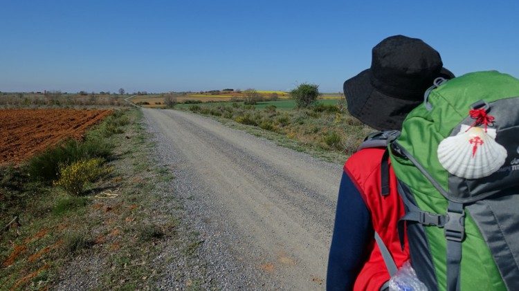 Estrenan una nueva película sobre el Camino de Santiago: un viaje físico y espiritual Estrenan una nueva película sobre el Camino de Santiago: un viaje físico y espiritual